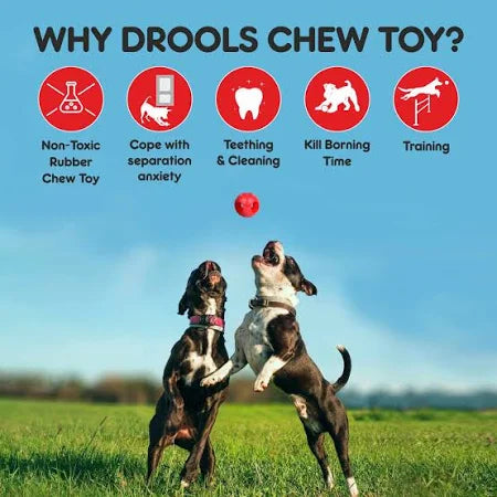 Drools Non-Toxic Rubber Hole Ball Dog Chew Toy