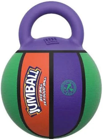 Basket Ball Dog Toy