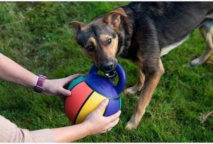 Basket Ball Dog Toy