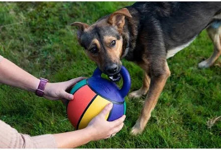 Basket Ball Dog Toy